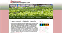 Desktop Screenshot of cornellcea.com